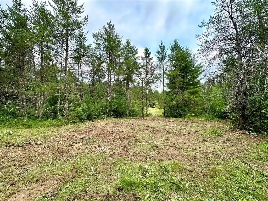 5th image of 0 County Rd N, Augusta, WI 54722 | MLS# 1603727