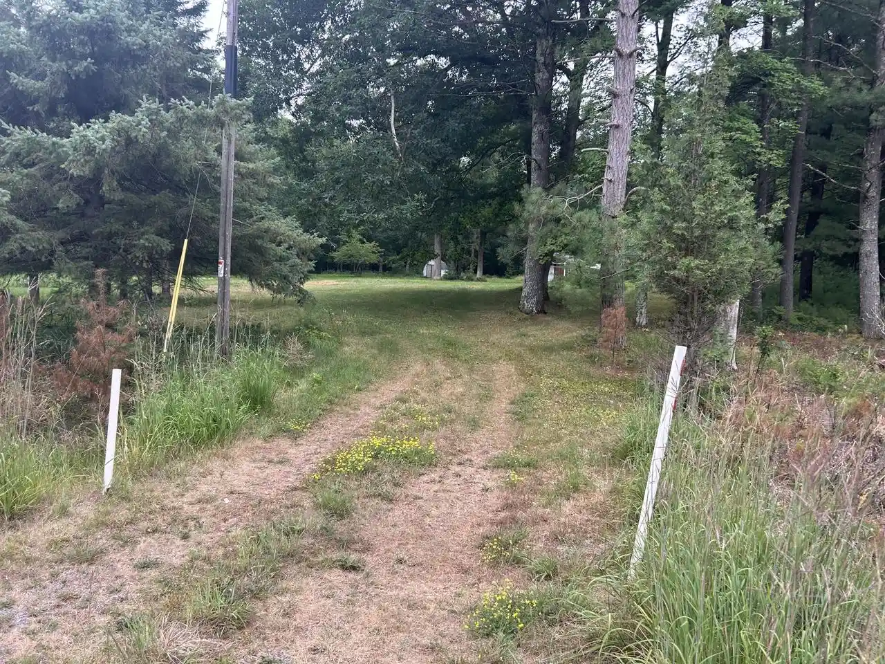 Photo 1 of Land for sale at W7877 Hwy 95, Neillsville, WI 54456 | MLS# 1973838 | Listing updated on 2026-08-01