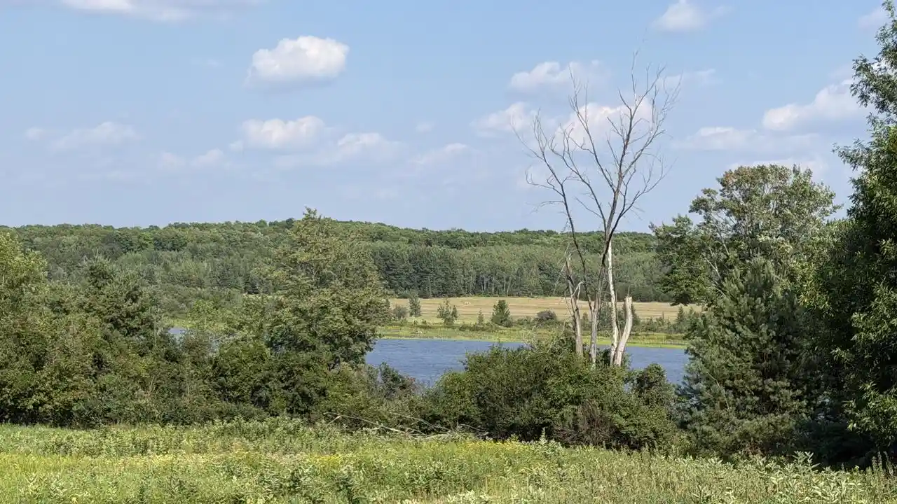 29th image of N16165 N River Road Road, Park Falls, WI 54552 | MLS# 1973910