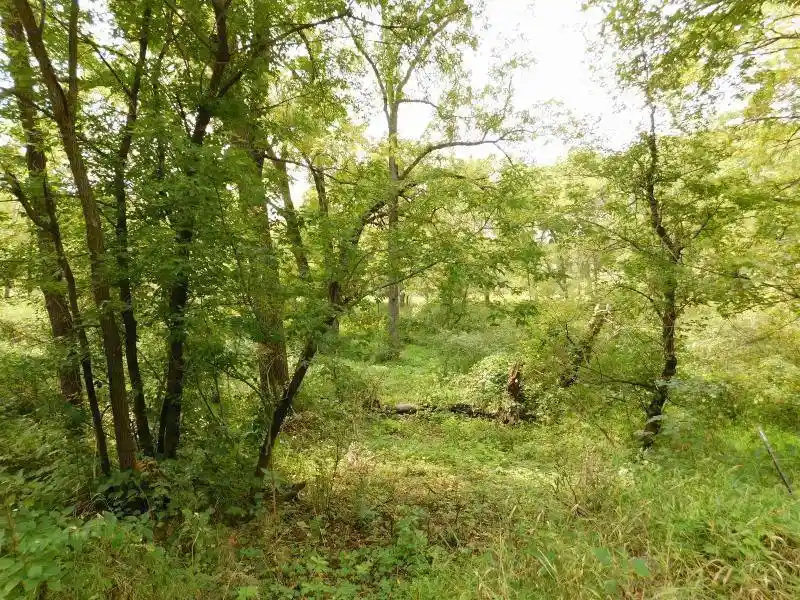 5th image of 5990 Mill Road Road, Avoca, WI 53506 | MLS# 2029226