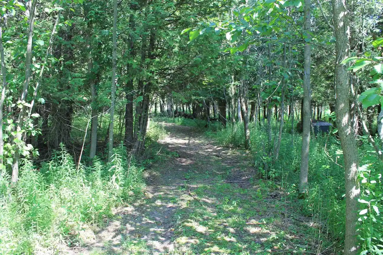 3rd image of Wolf River Dr Dr, Algoma, WI 54201 | MLS# 50330051
