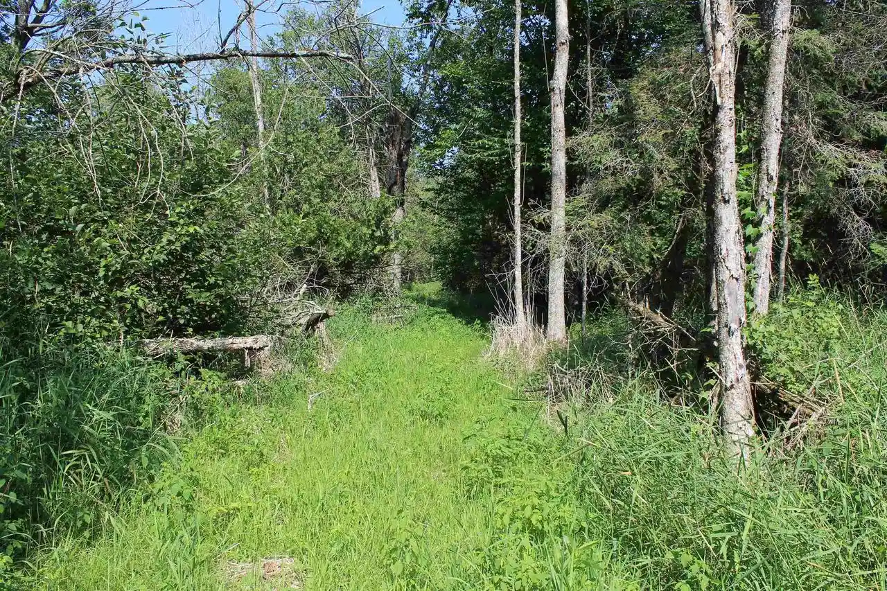 4th image of Wolf River Dr Dr, Algoma, WI 54201 | MLS# 50330051