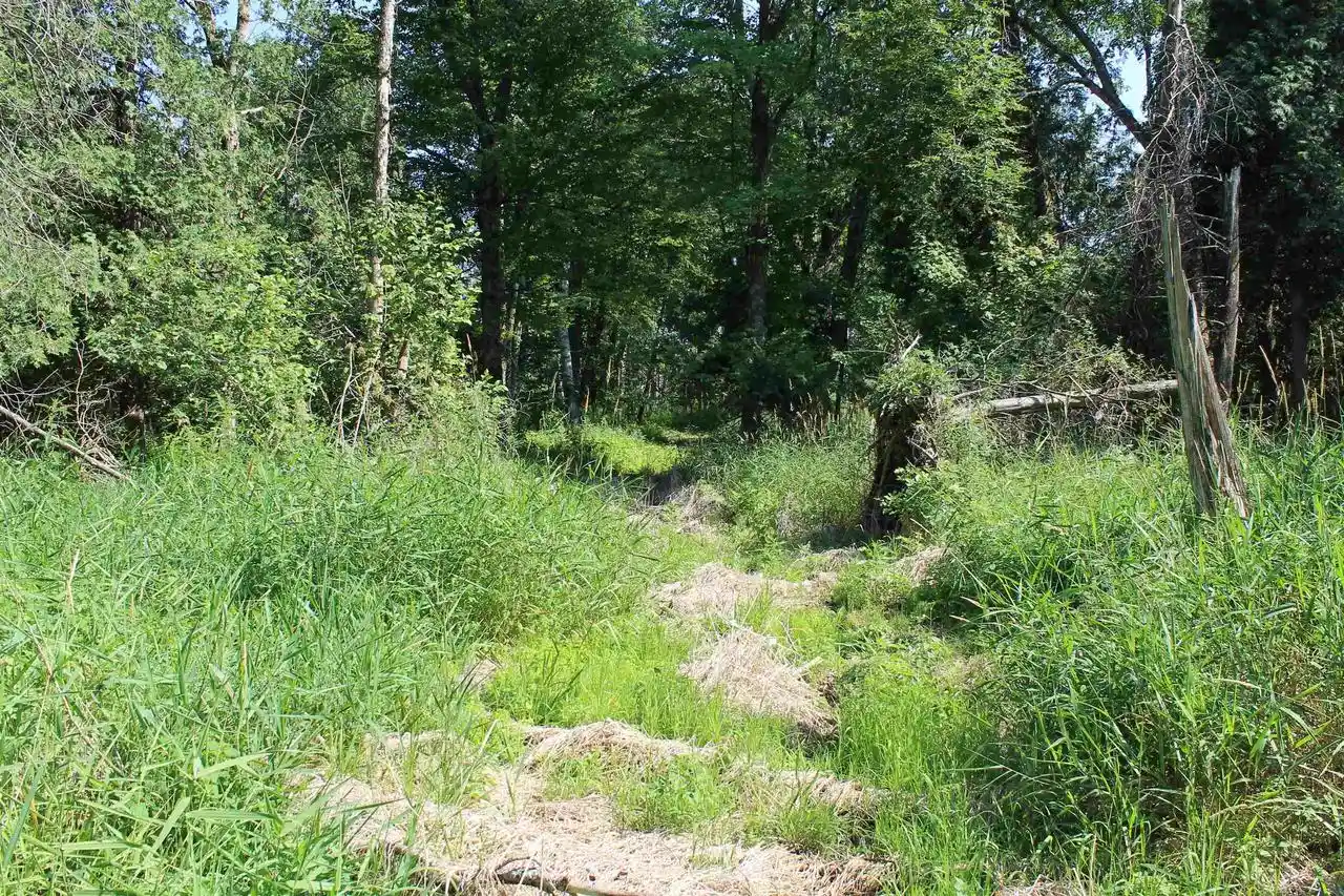 5th image of Wolf River Dr Dr, Algoma, WI 54201 | MLS# 50330051