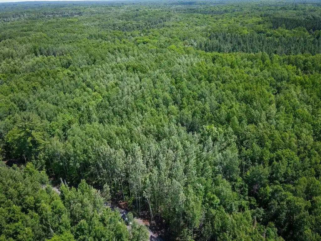 Photo 3 of Land for sale at 7151 County Road A, Solon Springs, WI 54873 | MLS# 1602905 | Listing updated on 2026-09-05