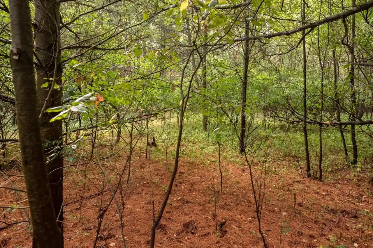 5th image of Deer Path Path, Hancock, WI 54943 | MLS# 50330072