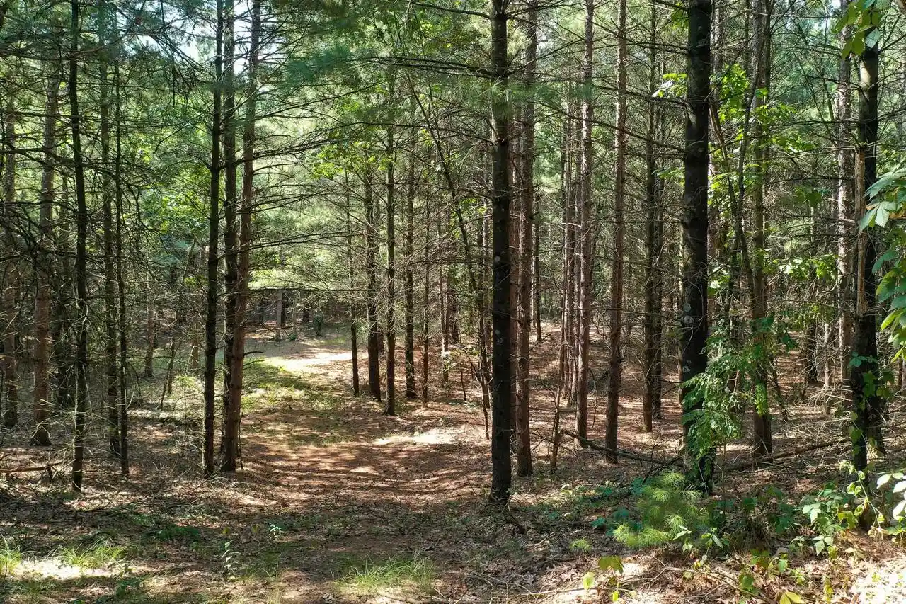 3rd image of 79 +/- Hwy 14, Spring Green, WI 53588 | MLS# 2029273