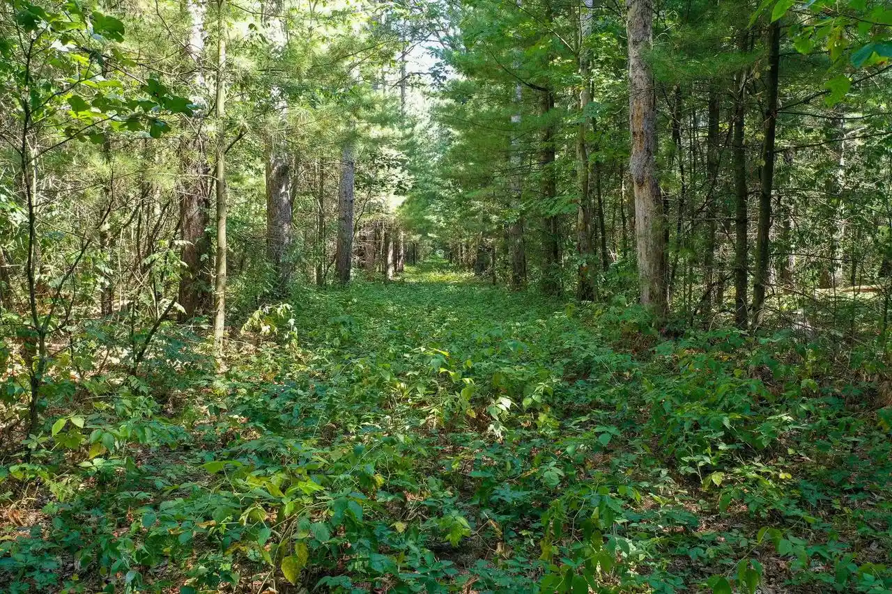 5th image of 79 +/- Hwy 14, Spring Green, WI 53588 | MLS# 2029273