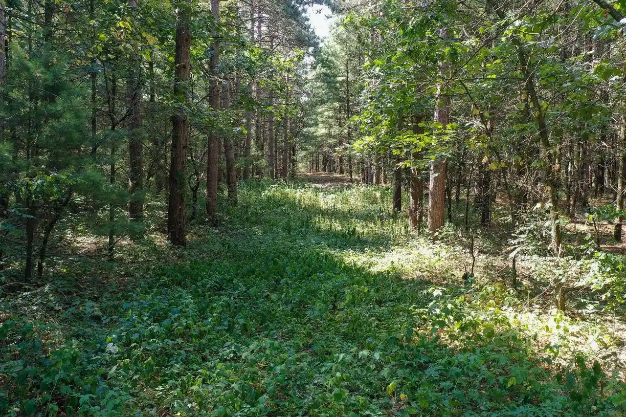 20th image of 79 +/  Hwy 14, Spring Green, WI 53588 | MLS# 2029273