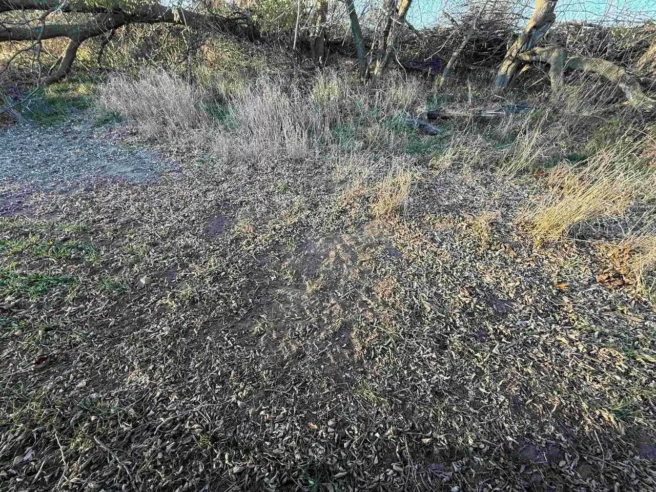 Photo 3 of Land for sale at 92+/  Acres State Road 49 Acres Acres, Green Lake, WI 54941 | MLS# 2029294 | Listing updated on 2026-09-04