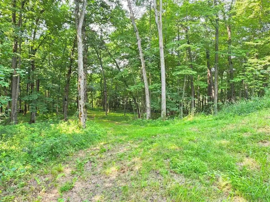 Photo 4 of Land for sale at Lot 0 County Rd W, Colfax, WI 54730 | MLS# 1603766 | Listing updated on 2026-08-03
