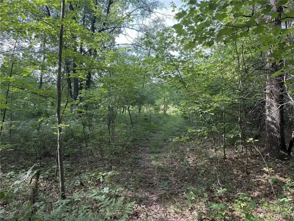 33rd image of S13160 Camp Road Road, Fairchild, WI 54741 | MLS# 7118887