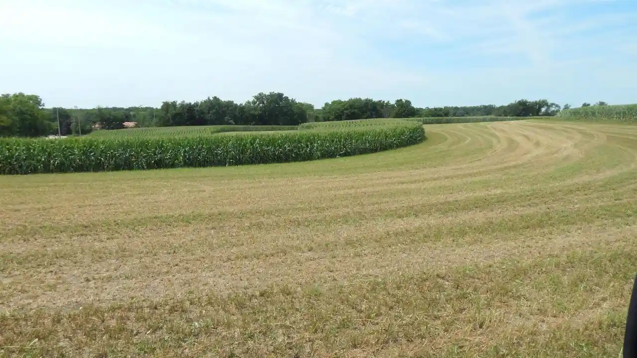 2nd image of 801 Acres Alfred Dr Dr, Ridgeway, WI 53582 | MLS# 2029377