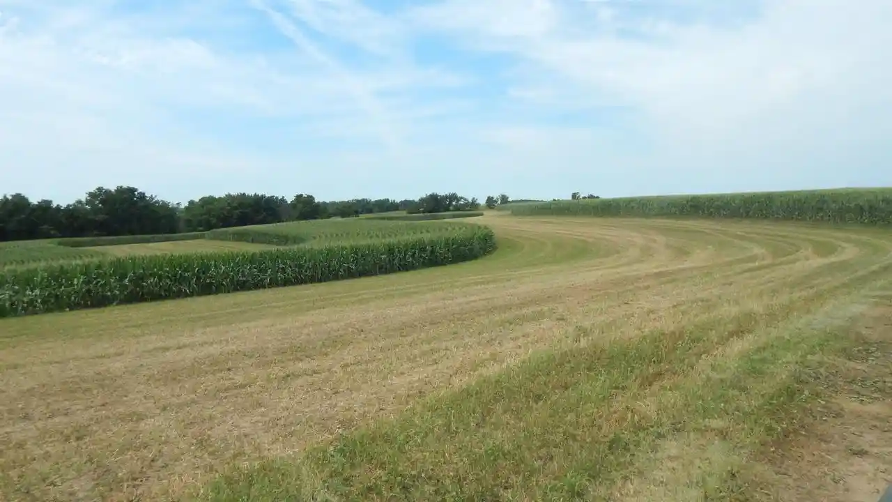 Photo 3 of Land for sale at 801 Acres Alfred Dr Dr, Ridgeway, WI 53582 | MLS# 2029377 | Listing updated on 2026-07-31