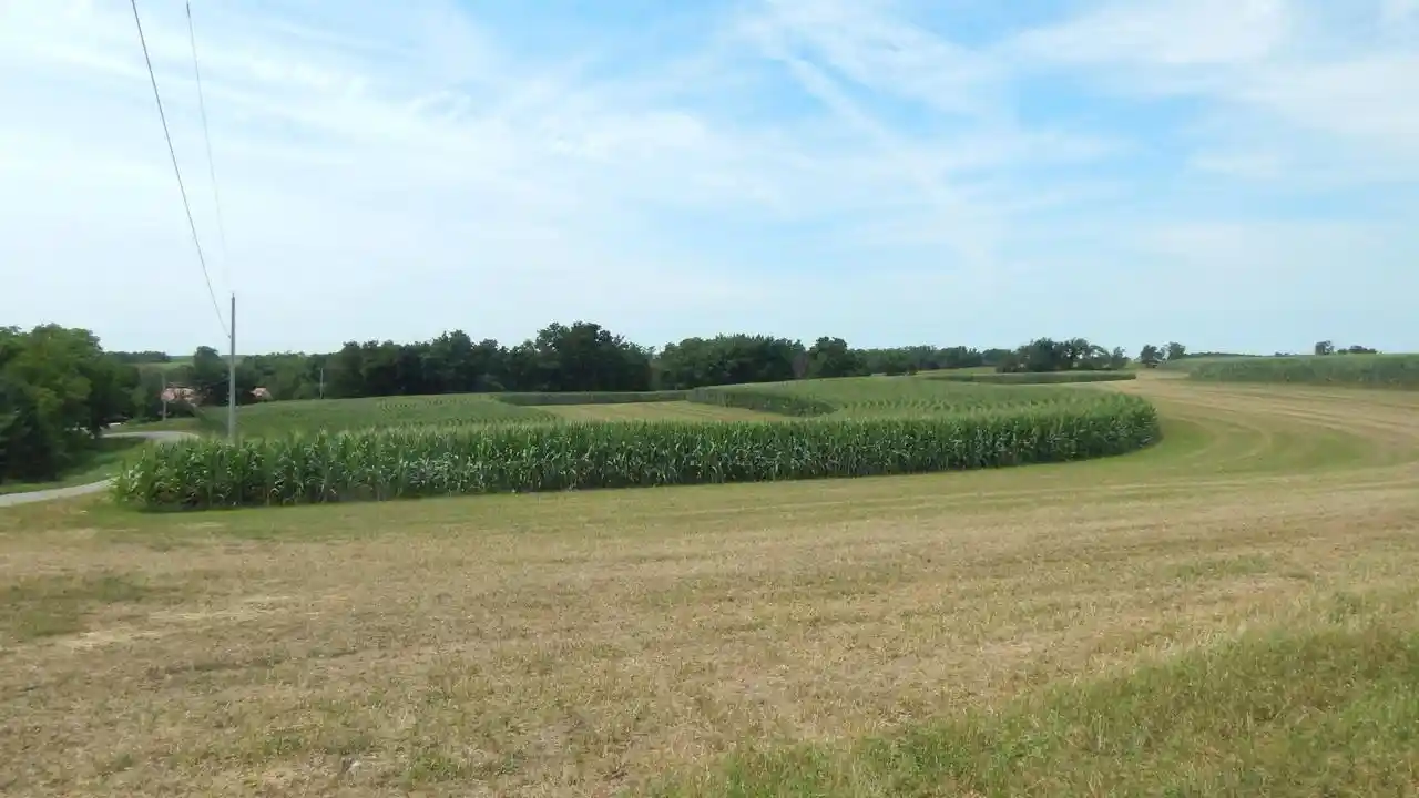 4th image of 801 Acres Alfred Dr Dr, Ridgeway, WI 53582 | MLS# 2029377