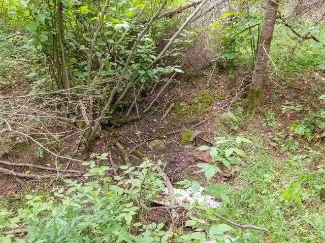 Photo 2 of Land for sale at Ruth Road Road, Tripoli, WI 54564 | MLS# 50330172 | Listing updated on 2026-07-31