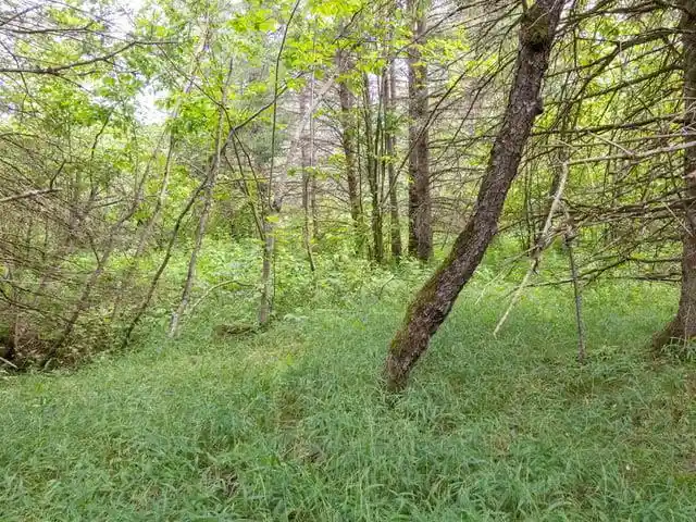 Photo 4 of Land for sale at Ruth Road Road, Tripoli, WI 54564 | MLS# 50330172 | Listing updated on 2026-07-31