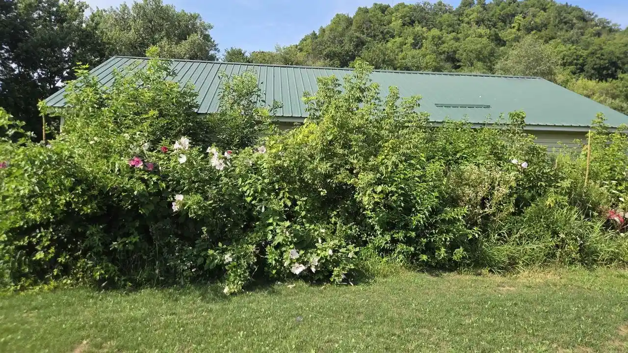 2nd image of 48568 Petersburg Lane Lane, Gays Mills, WI 54631 | MLS# 2029373