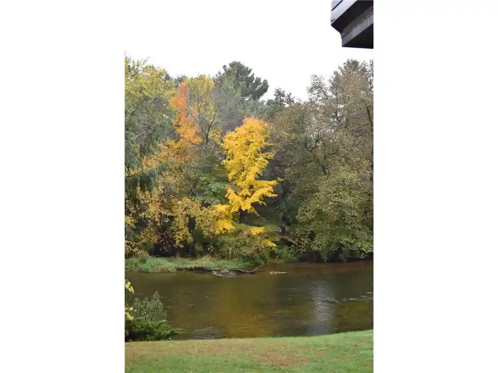 2nd image of 519 Birchwood Avenue Avenue, Amery, WI 54001 | MLS# 7119425