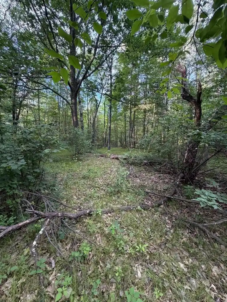 3rd image of Town Corner Lake Road Road, Amberg, WI 54102 | MLS# 50330198