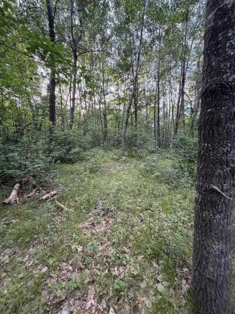 4th image of Town Corner Lake Road Road, Amberg, WI 54102 | MLS# 50330198