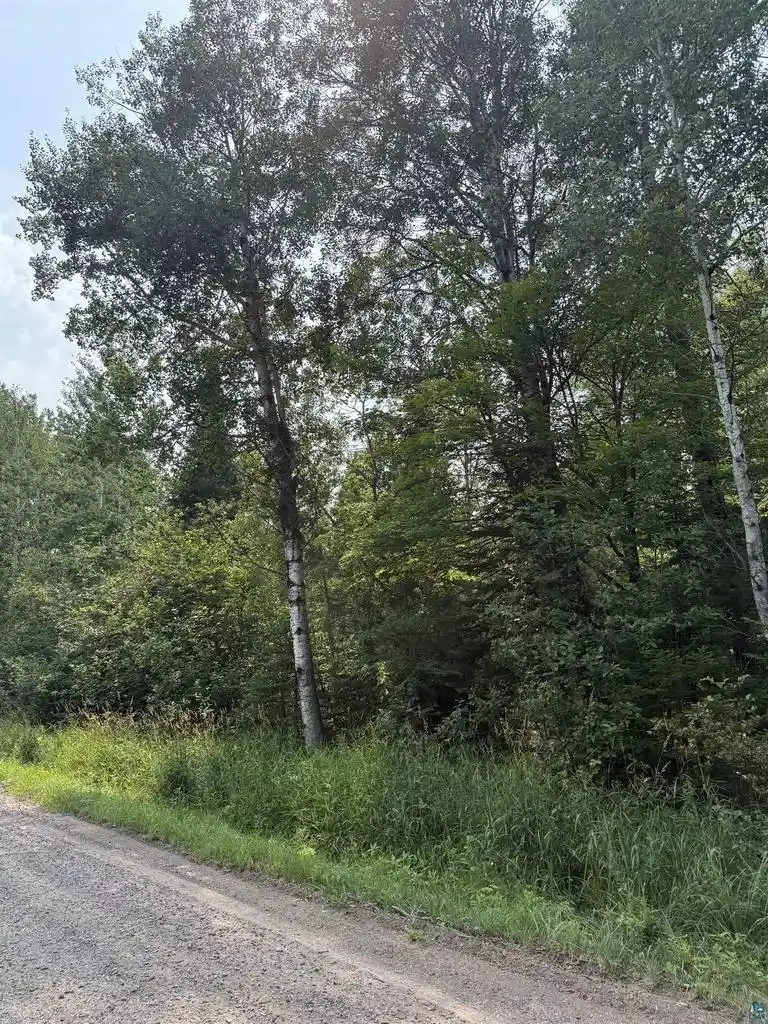 13th image of 87xxx Bark River Rd Rd, Herbster, WI 54844 | MLS# 6127093