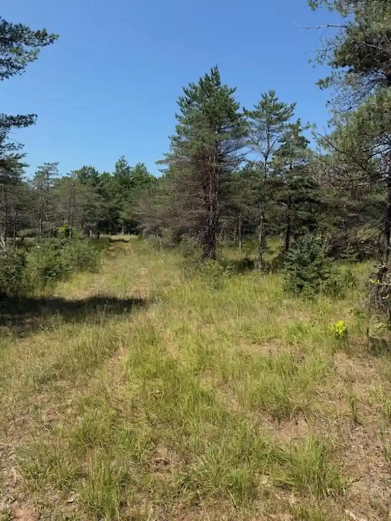 5th image of W7855 Trellis Road Road, Crivitz, WI 54114 | MLS# 50330201