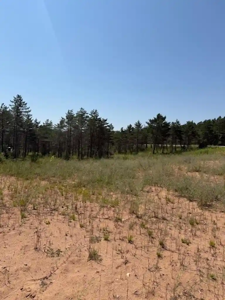 11th image of W7855 Trellis Road Road, Crivitz, WI 54114 | MLS# 50330201