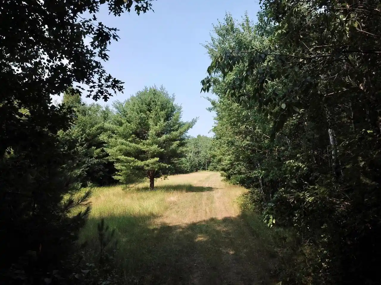 Photo 1 of Sale Pending at On Oak Ridge Road Road, Harshaw, WI 54529 | MLS# 22603670 | Listing updated on 2026-08-27