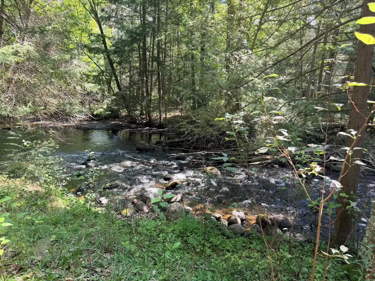 1st image of 17306 S Village View Road Road, Lakewood, WI 54138 | MLS# 1974217