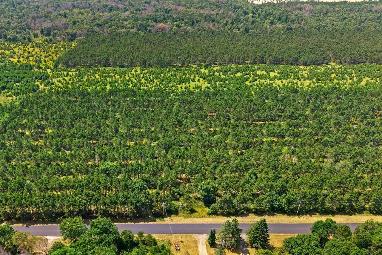 4th image of 10 Acres Bell Road Road, Wisconsin Rapids, WI 54494 | MLS# 22603676