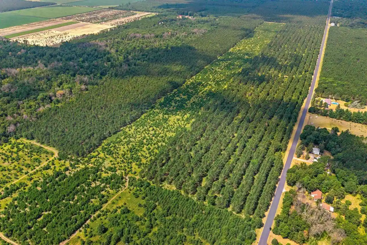 5th image of 10 Acres Bell Road Road, Wisconsin Rapids, WI 54494 | MLS# 22603676