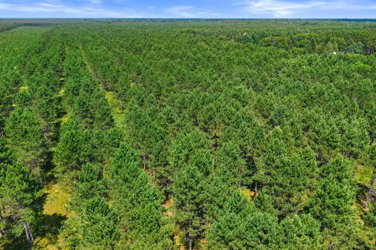 9th image of 10 Acres Bell Road Road, Wisconsin Rapids, WI 54494 | MLS# 22603676
