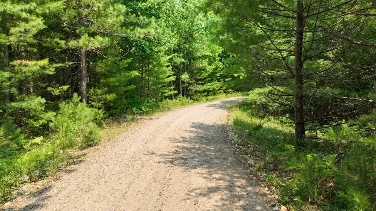 4th image of 6280 E Snipe Lake Road Road, Eagle River, WI 54521 | MLS# 50330234