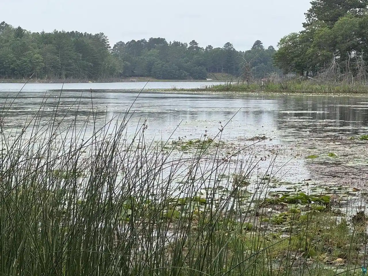Photo 1 of Sale Pending at Xxxx S Loon Lake Rd Rd, Solon Springs, WI 54873 | MLS# 6127102 | Listing updated on 2026-09-08