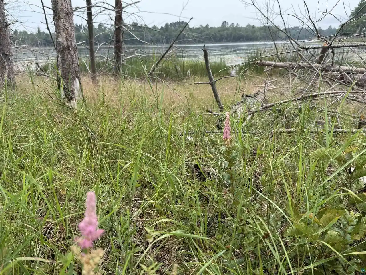 Photo 2 of Sale Pending at Xxxx S Loon Lake Rd Rd, Solon Springs, WI 54873 | MLS# 6127102 | Listing updated on 2026-09-08