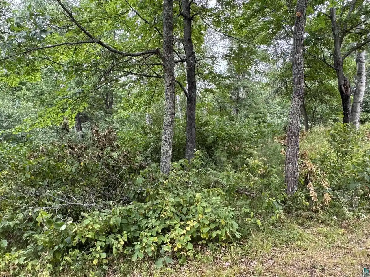 Photo 3 of Sale Pending at Xxxx S Loon Lake Rd Rd, Solon Springs, WI 54873 | MLS# 6127102 | Listing updated on 2026-09-08