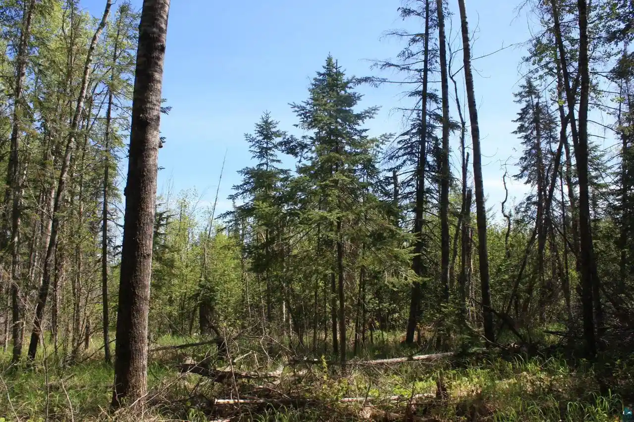 99th image of 7195 E State Hwy 13, South Range, WI 54874 | MLS# 6127105