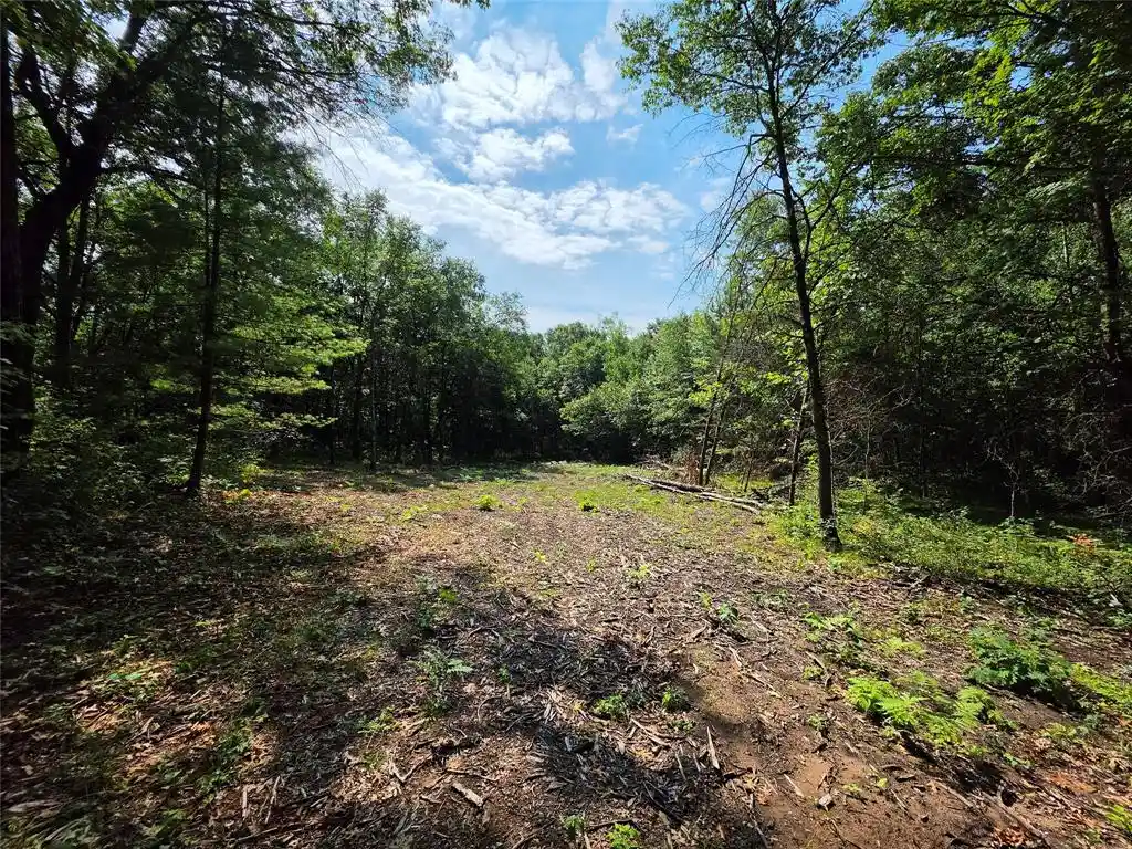 3rd image of 27687 295Th Avenue Avenue, Holcombe, WI 54745 | MLS# 1603802