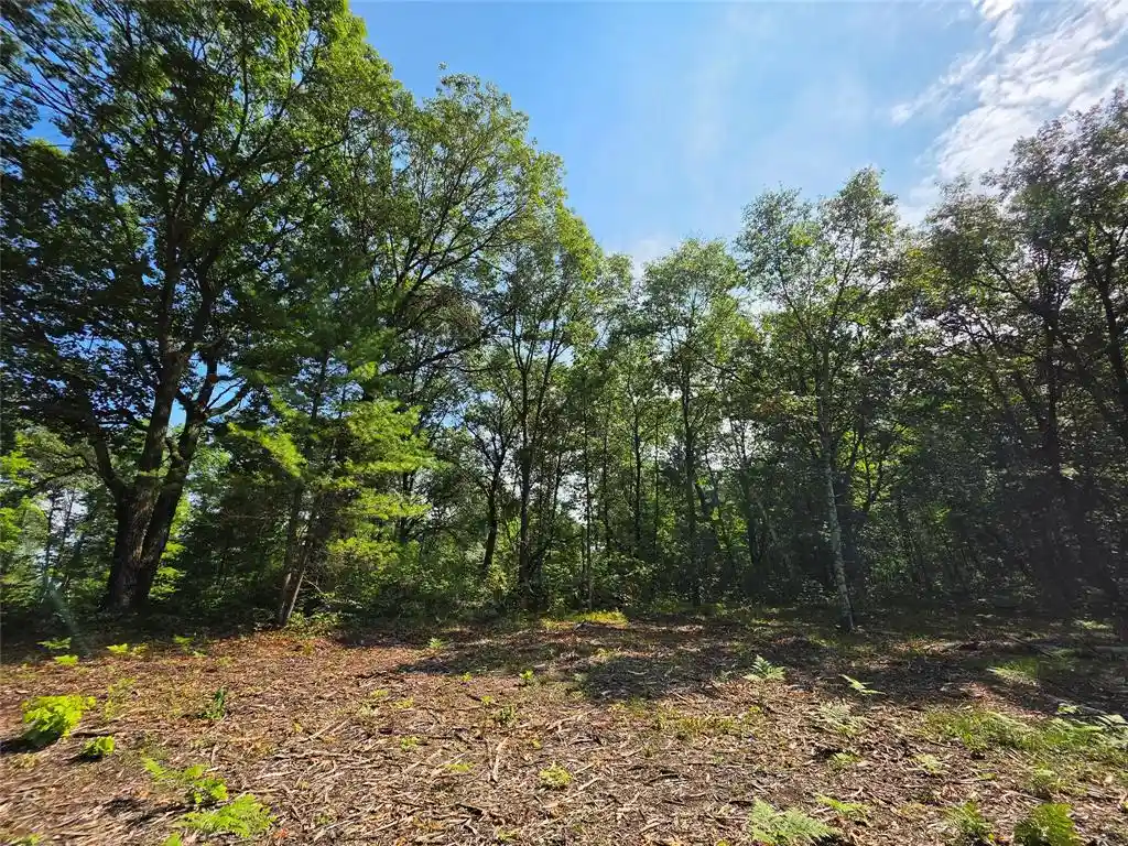 4th image of 27687 295Th Avenue Avenue, Holcombe, WI 54745 | MLS# 1603802