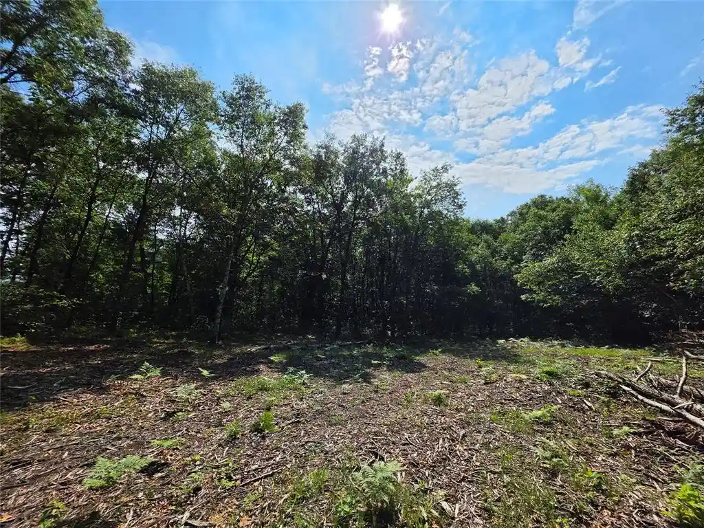 5th image of 27687 295Th Avenue Avenue, Holcombe, WI 54745 | MLS# 1603802
