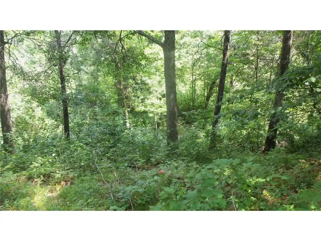 Photo 2 of Sale Pending at Lot 6 Birch Tree Trl, Spooner, WI 54801 | MLS# 7120162 | Listing updated on 2026-09-25