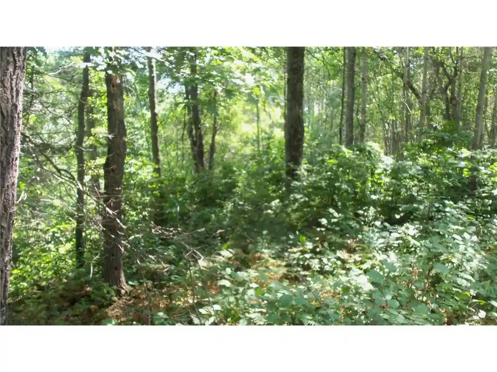 Photo 3 of Sale Pending at Lot 6 Birch Tree Trl, Spooner, WI 54801 | MLS# 7120162 | Listing updated on 2026-09-25