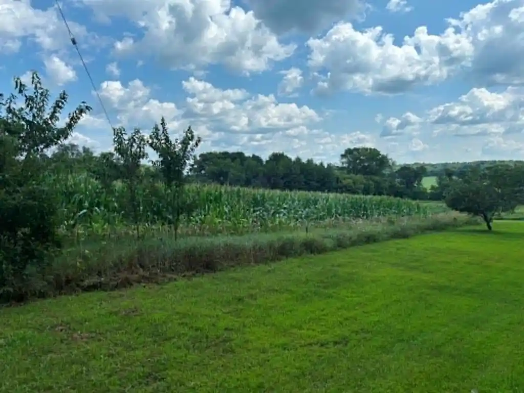 Photo 1 of Land for sale at Vacant Land 420th Ave, Menomonie, WI 54751 | MLS# 1603810 | Listing updated on 2026-09-12
