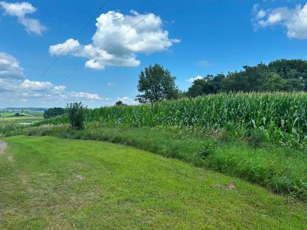Photo 2 of Land for sale at Vacant Land 420th Ave, Menomonie, WI 54751 | MLS# 1603810 | Listing updated on 2026-09-12