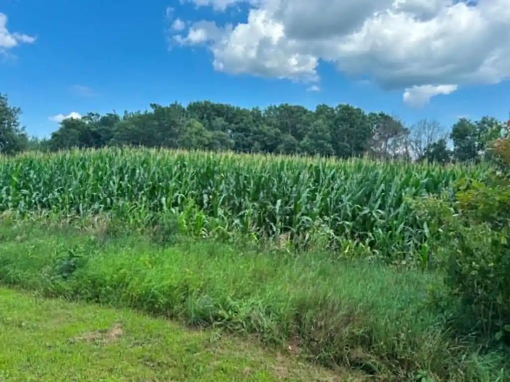 Photo 3 of Land for sale at Vacant Land 420th Ave, Menomonie, WI 54751 | MLS# 1603810 | Listing updated on 2026-09-12