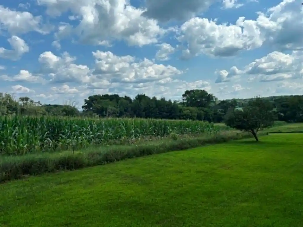 Photo 4 of Land for sale at Vacant Land 420Th Ave, Menomonie, WI 54751 | MLS# 1603810 | Listing updated on 2026-09-12