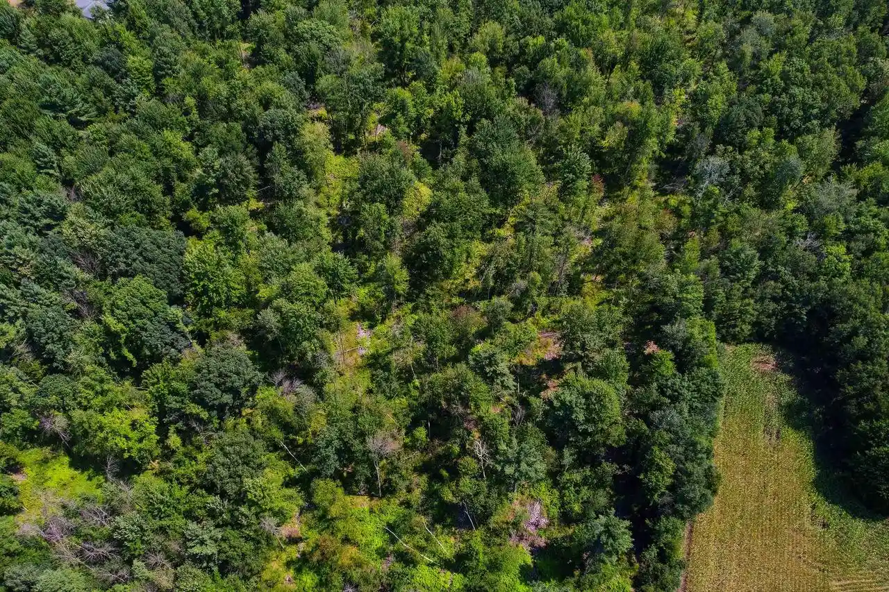 4th image of 2782 Acres Mol Sunset Dr Dr, Stevens Point, WI 54482 | MLS# 22603695