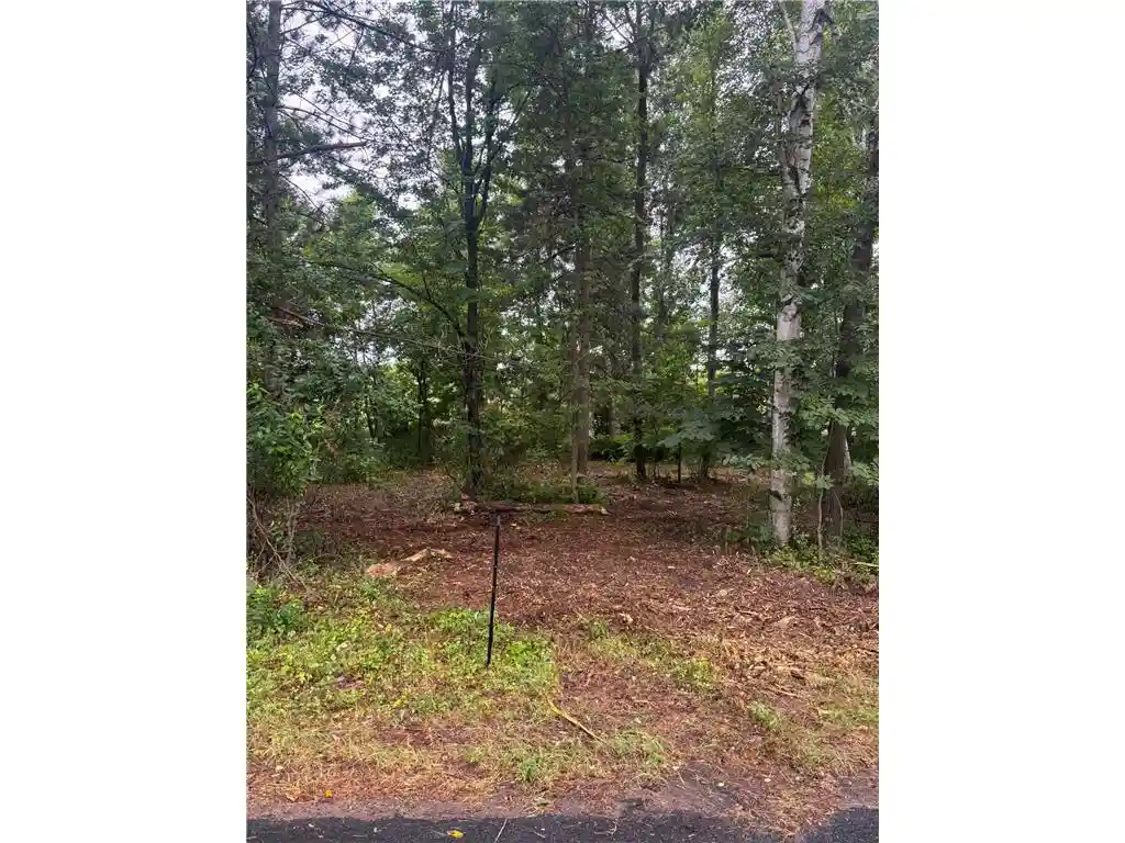 Photo 2 of Land for sale at Tbd W Bone Lake Dr, Milltown, WI 54858 | MLS# 7120369 | Listing updated on 2026-10-29