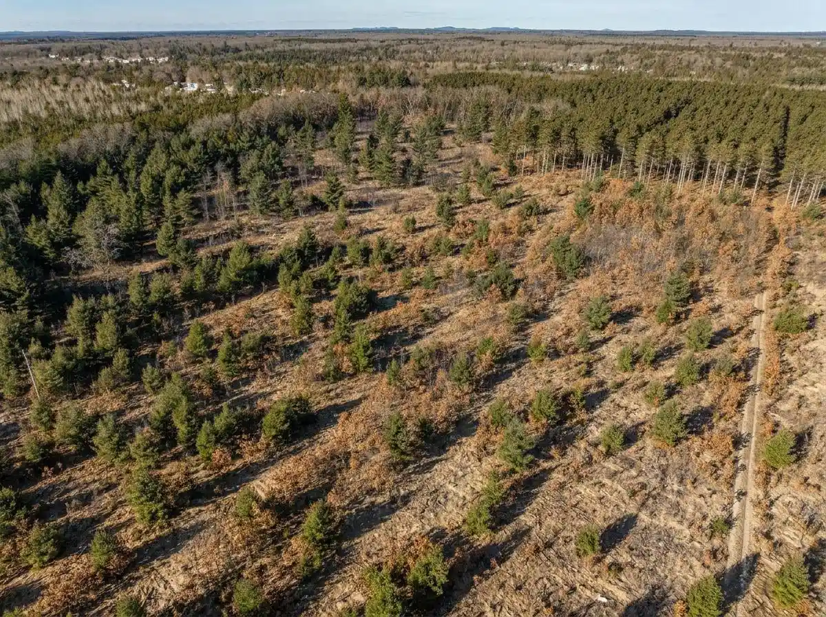 2nd image of 78 Acres County Road K, Wisconsin Dells, WI 53965 | MLS# 2029527