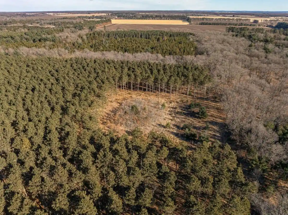 Photo 4 of Land for sale at 78 Acres County Road K, Wisconsin Dells, WI 53965 | MLS# 2029527 | Listing updated on 2026-08-13